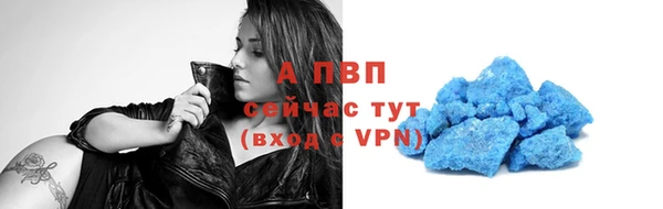 гидра Коряжма
