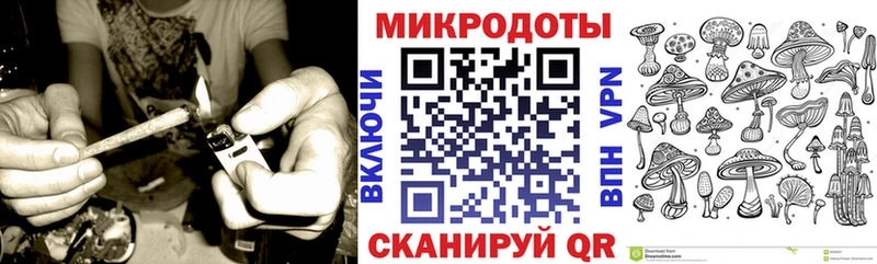 где купить наркоту  Называевск  Псилоцибиновые грибы Psilocybine cubensis 